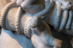 THE SILENT KNOT
